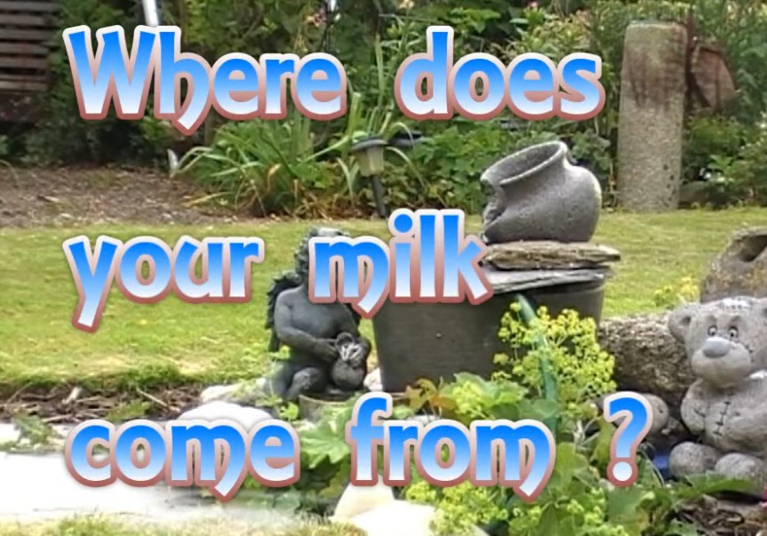 Where does your milk come from?
